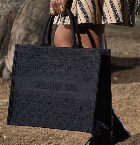 There's a New Small Dior Book Tote in Town 